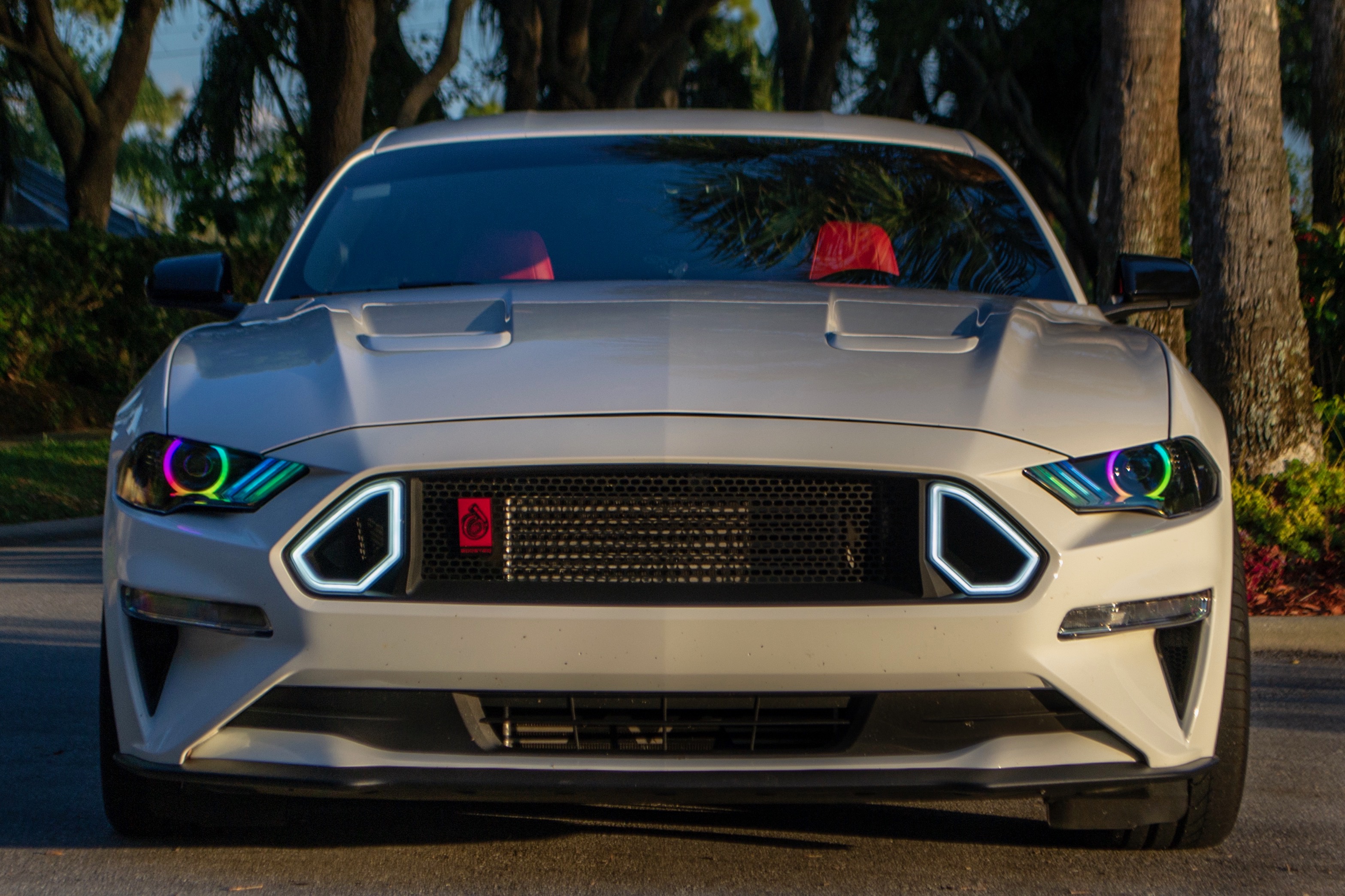 Promo Image 1 for Promo Grid: 1x3